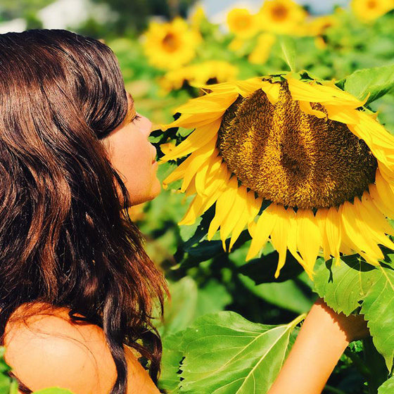 Purely Vegan Existence