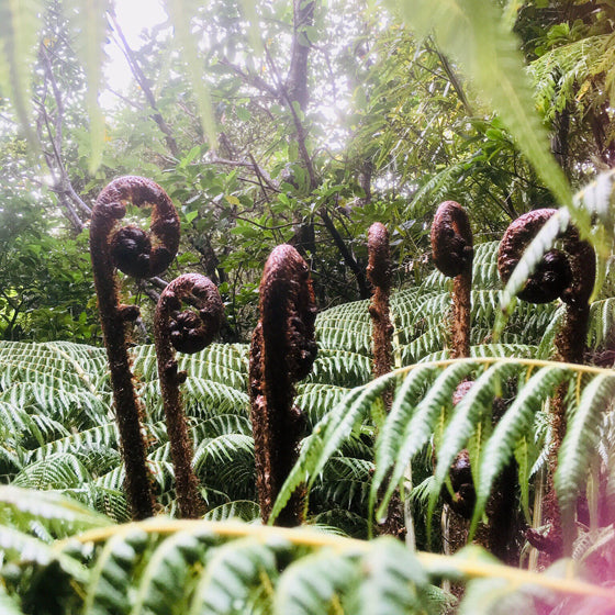 Yonah - Massage & Beauty